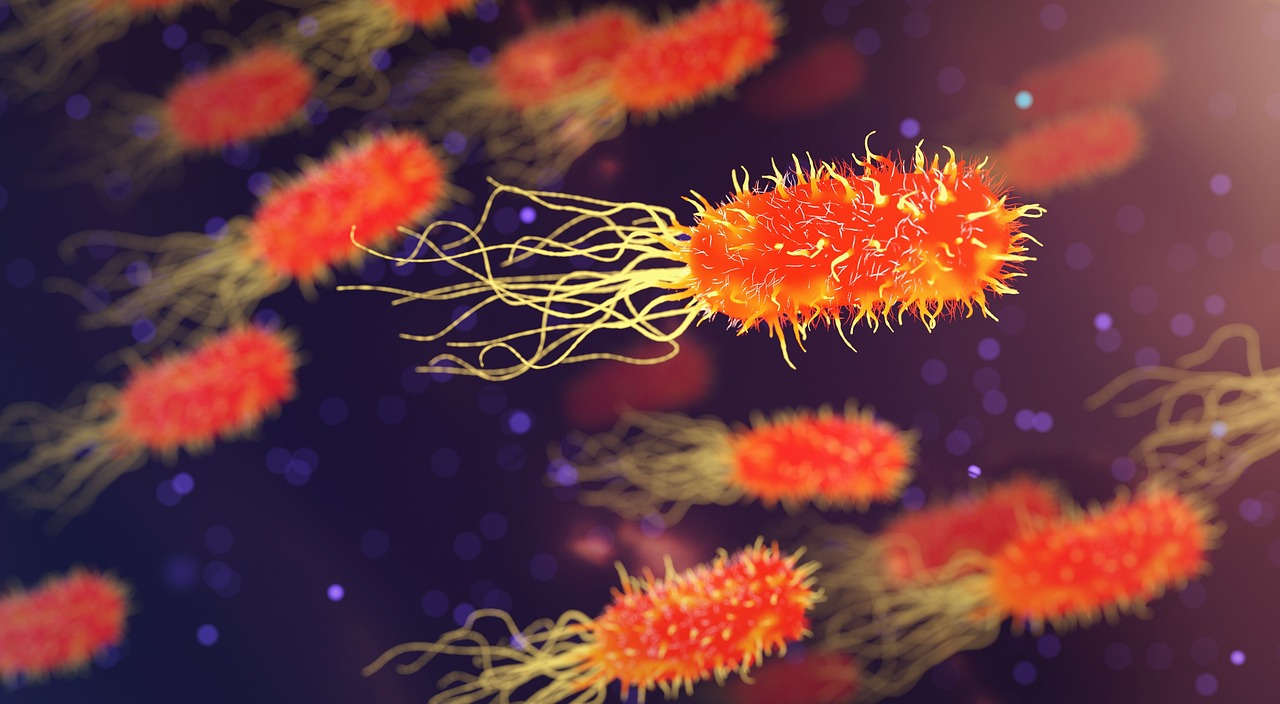 Helicobacter pylori - czym jest i jak rozpoznać zakażenie?
