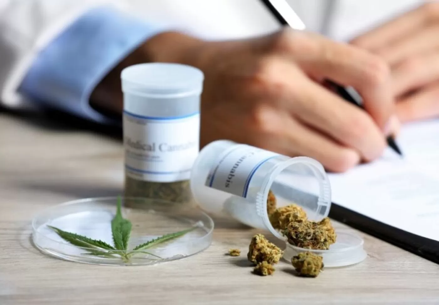 Koszty terapii z medyczną marihuaną – jakich się spodziewać i czy można je zrefundować?